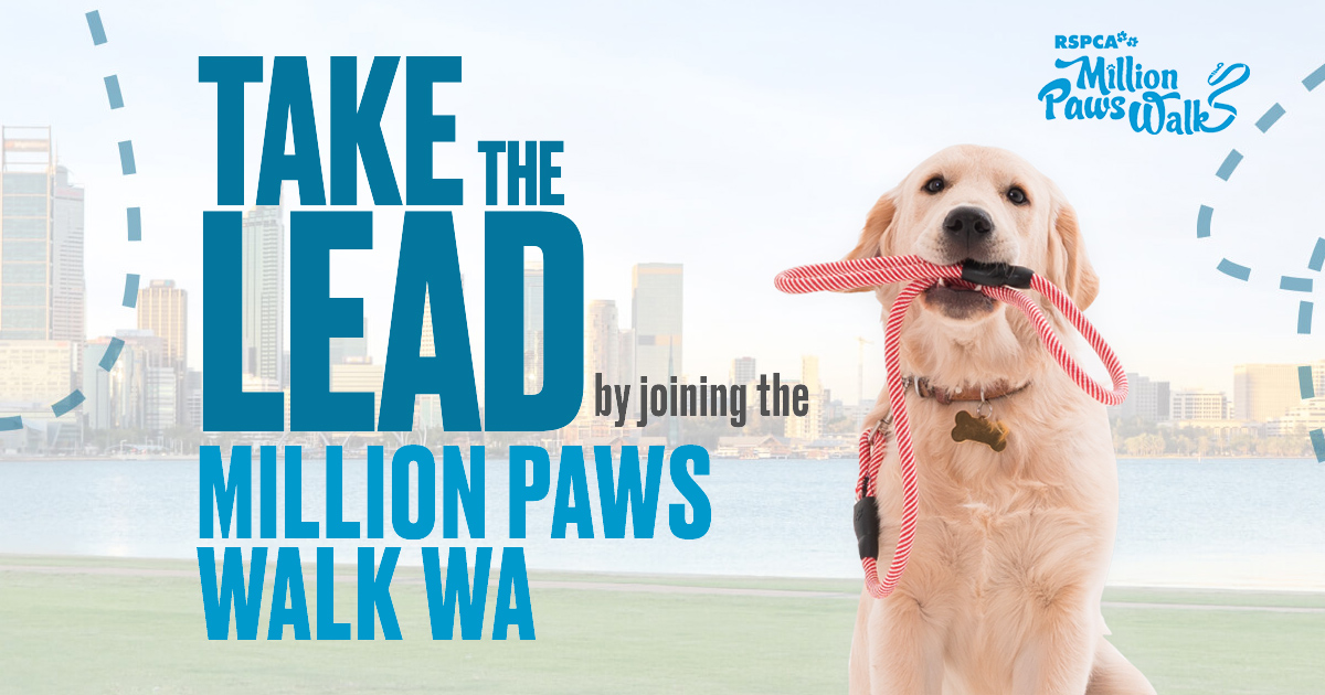 Million Paws Walk RSPCA WA